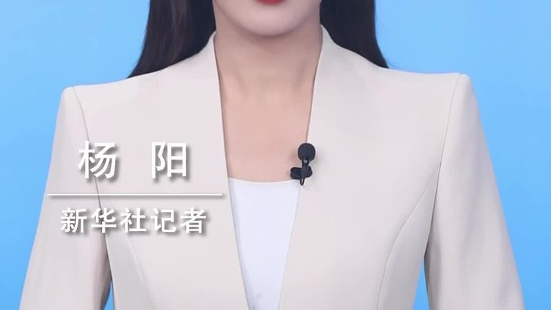 构建高效数据中台：大数据平台建设的核心要素